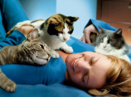Кошки лечат людей, кошкотерапия