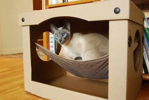 домик для кота из коробки с гамаком
