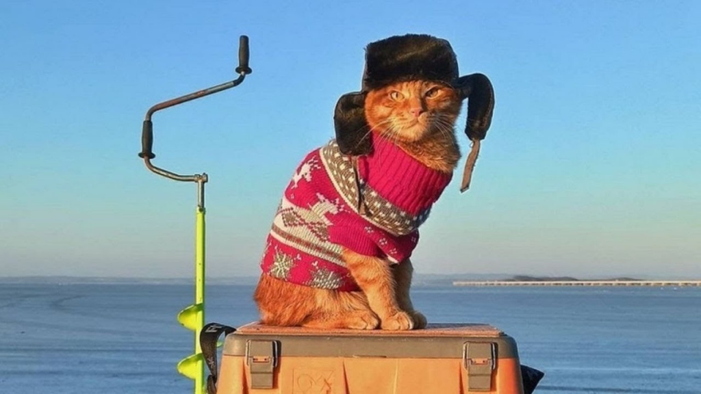Кот Симба в шапке-ушанке на рыбалке