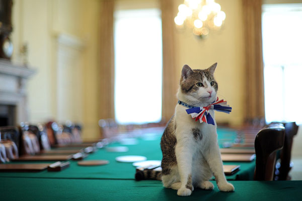 кот Ларри из британского правительства