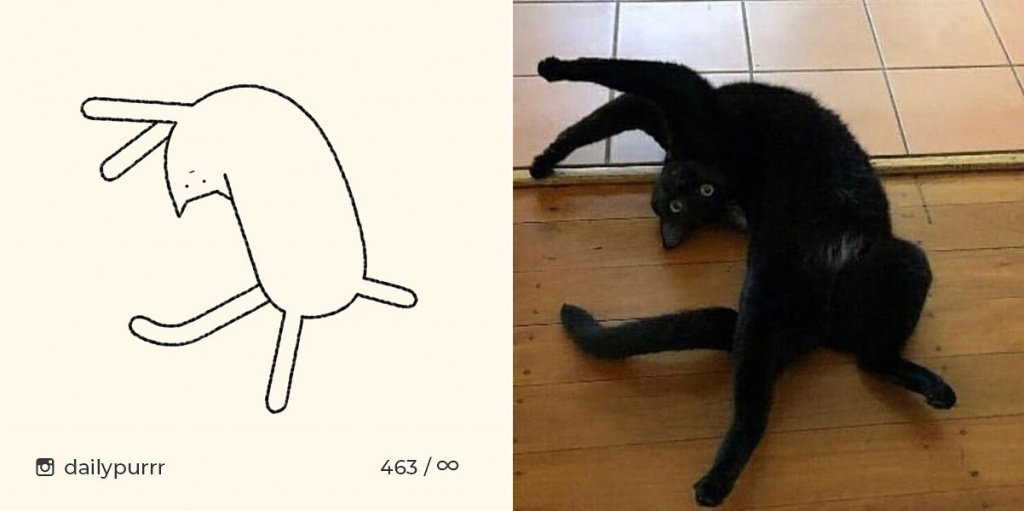 рисунок кота из инстаграм