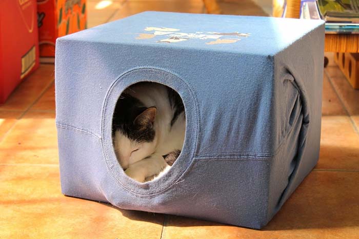 построить домик для кота из картонной коробки и футболки