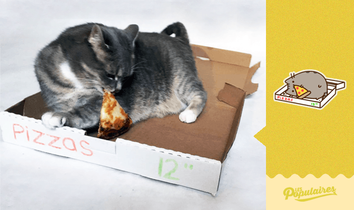 кот Пушин любит пиццу